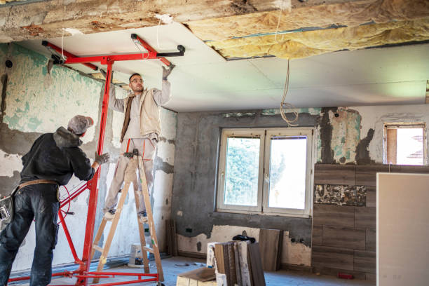 Best Attic Insulation Near Me  in Felton, DE