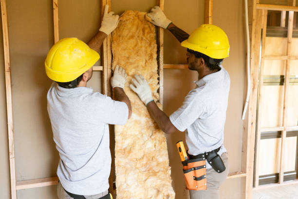 Best Insulation Contractors for Homes  in Felton, DE